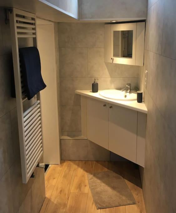 Captain's Cabin: Cosy Flat On A House Boat Botel Straßburg